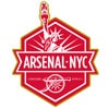 arsenal fans new york logo
