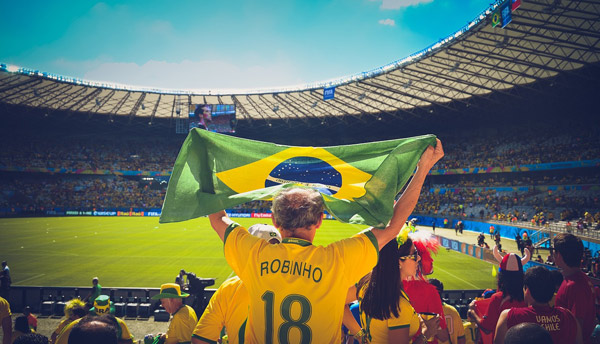 brazil fan in the crowd